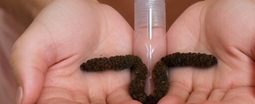 Could this Ayurvedic remedy actually be a natural spermicide? We asked an OB-GYN
