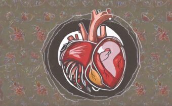 Healing Your Heart