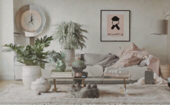 Decluttering Quotes