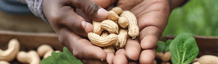 Growing Peanuts at Home: A Fun and Rewarding Gardening Project