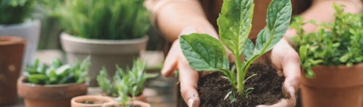 Nurturing Relationships with Plants and People: The Benefits of Gardening