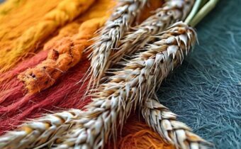 All About Fiber