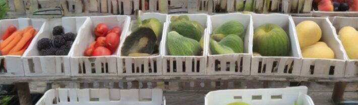 August Produce: Celebrating the Bounty of Late Summer Harvests