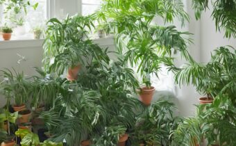 Plant Dusting Guide