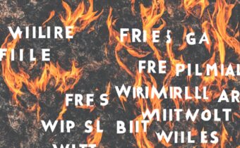 FIRE Without Being a Millionaire
