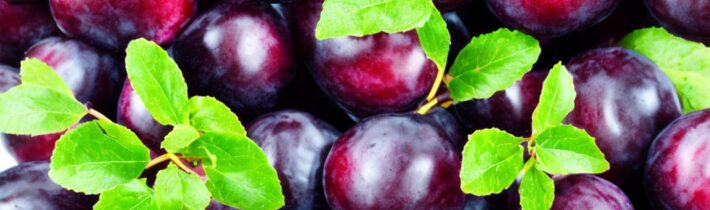 Health Benefits of Plums