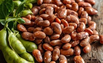 Why Beans Cause Gas