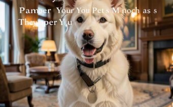Luxury Hotels That Pamper Your Pet as Much as They Pamper You