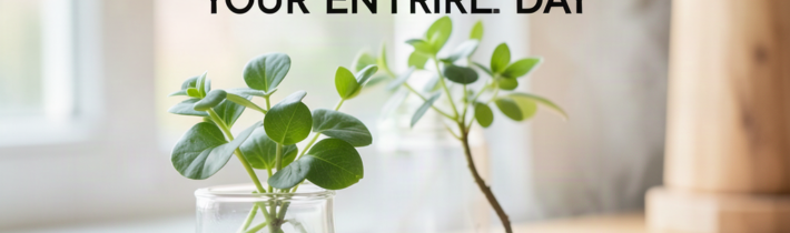 Morning Made Easy: The Tiny Habit Changes That Transform Your Entire Day