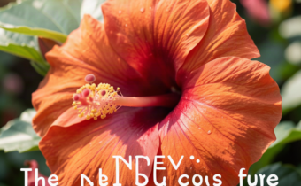 Hibiscus: The New Skincare Superstar