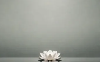 Mindful Photography: Creativity Meets Mindfulness