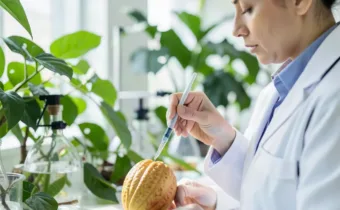 Scientists Are Gene-Editing Cacao to Save Chocolate From Extinction