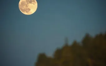 Full Sturgeon Moon Guide
