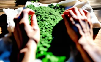 Making an Herbal Poultice