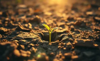 What Does It Mean to Be Resilient?
